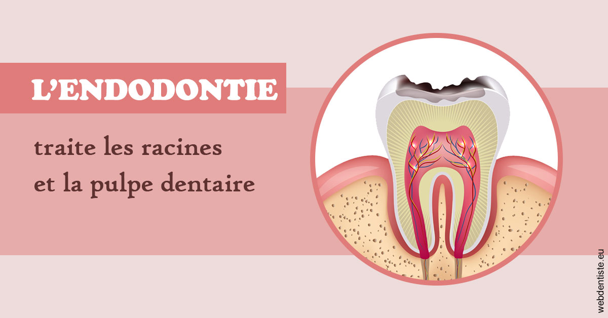 https://dr-philippe-nozais.chirurgiens-dentistes.fr/L'endodontie 2