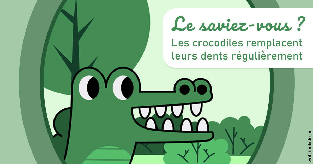 https://dr-philippe-nozais.chirurgiens-dentistes.fr/Crocodiles 2