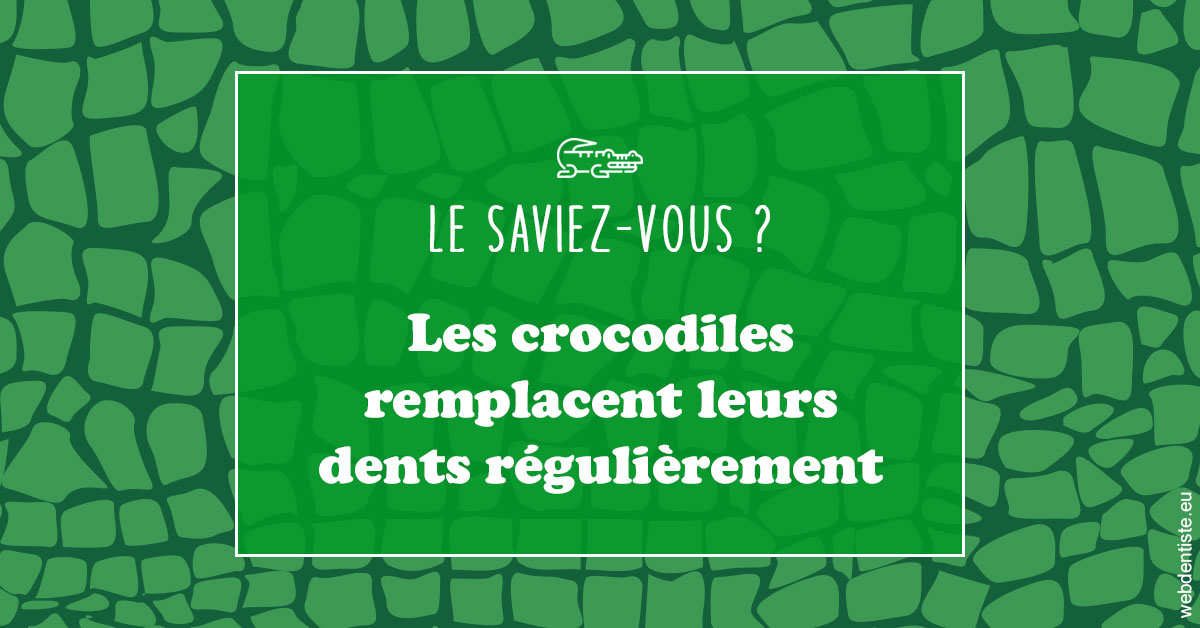 https://dr-philippe-nozais.chirurgiens-dentistes.fr/Crocodiles 1